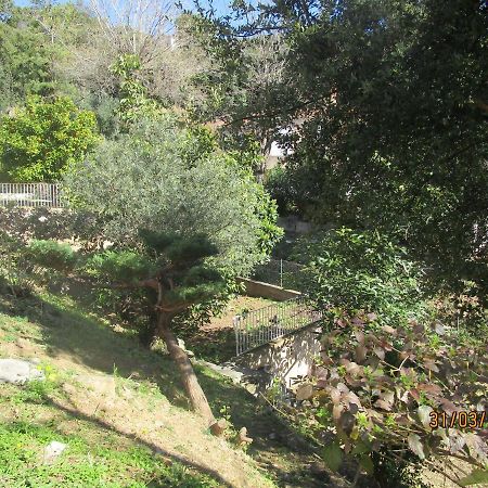 Chiapatella Bed & Breakfast Folelli Luaran gambar