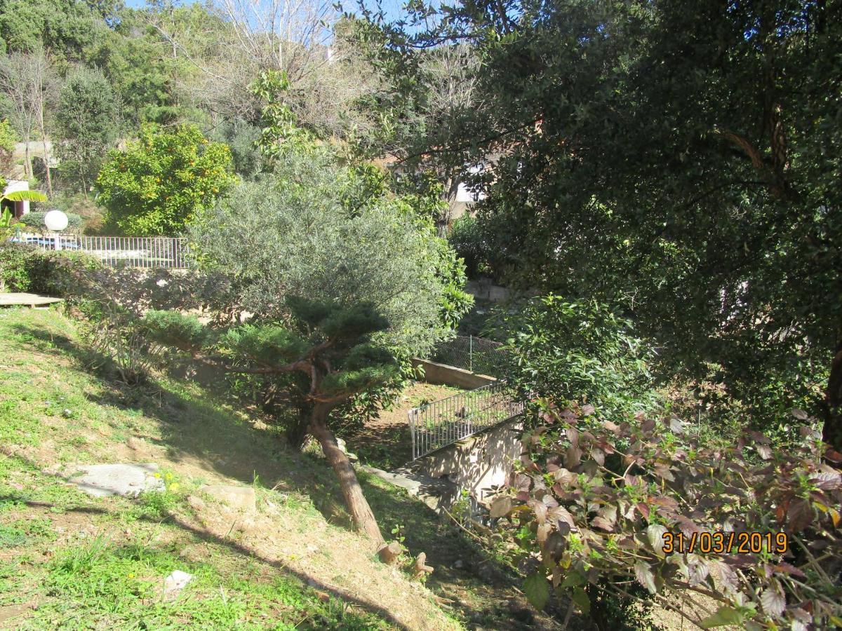 Chiapatella Bed & Breakfast Folelli Luaran gambar