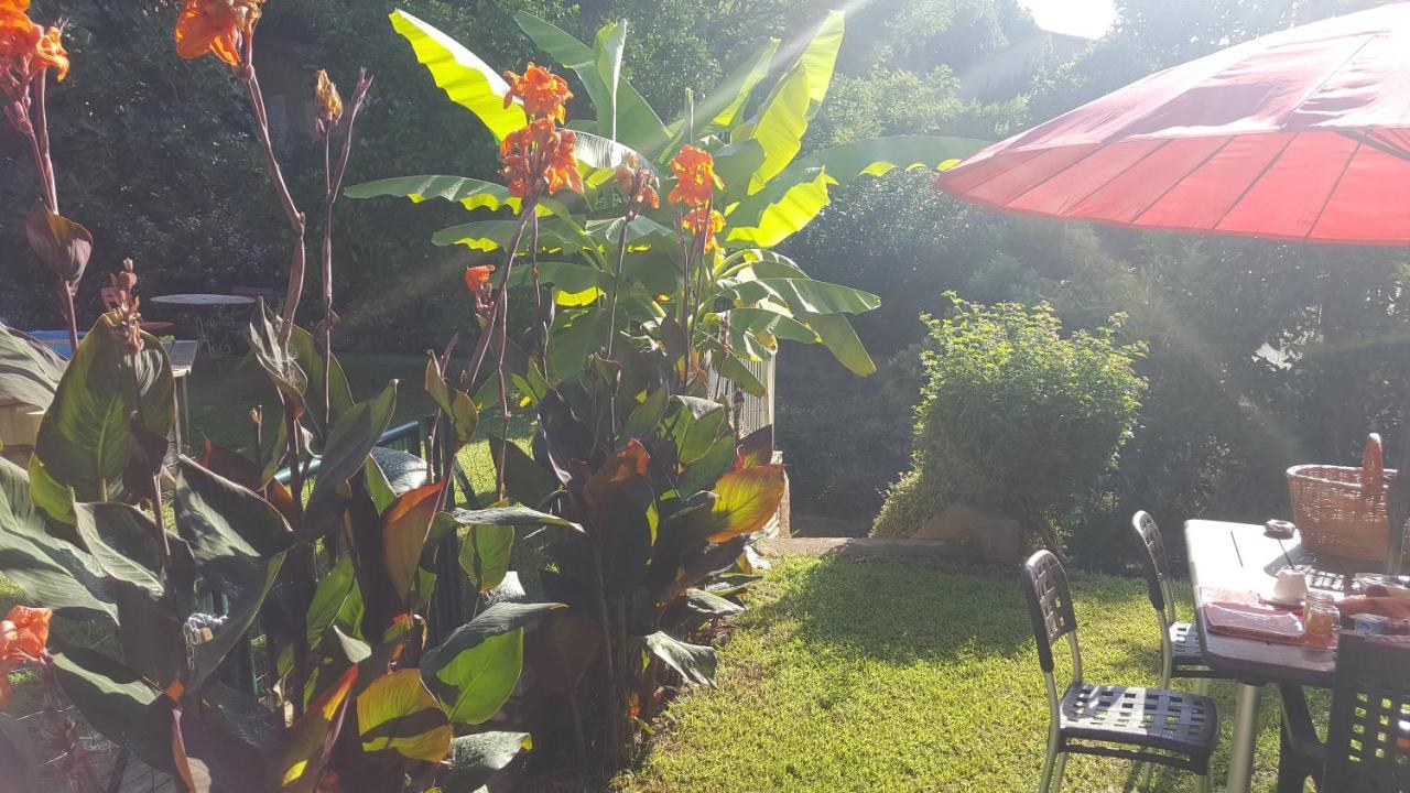Chiapatella Bed & Breakfast Folelli Luaran gambar
