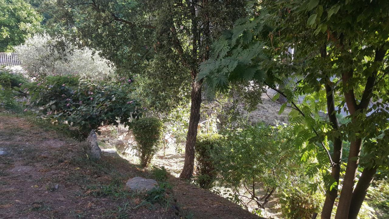Chiapatella Bed & Breakfast Folelli Luaran gambar